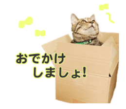 MILO&TOM sticker #15628685