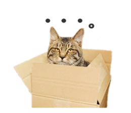 MILO&TOM sticker #15628689