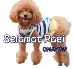 fanchocorin4 sticker #15628690