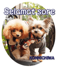 fanchocorin4 sticker #15628691