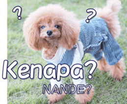 fanchocorin4 sticker #15628693