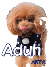 fanchocorin4 sticker #15628694