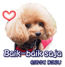 fanchocorin4 sticker #15628696