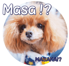 fanchocorin4 sticker #15628697