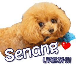 fanchocorin4 sticker #15628698