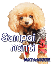 fanchocorin4 sticker #15628699