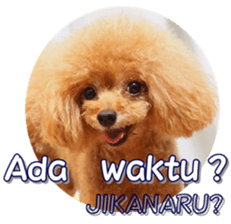 fanchocorin4 sticker #15628700