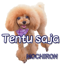 fanchocorin4 sticker #15628701