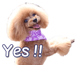 fanchocorin4 sticker #15628702