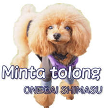 fanchocorin4 sticker #15628704