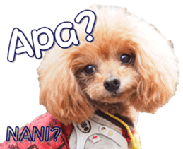 fanchocorin4 sticker #15628705