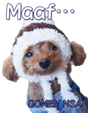 fanchocorin4 sticker #15628706