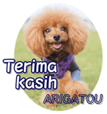 fanchocorin4 sticker #15628707