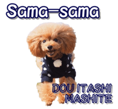 fanchocorin4 sticker #15628708