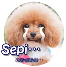 fanchocorin4 sticker #15628709