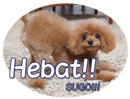 fanchocorin4 sticker #15628712