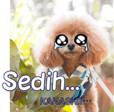 fanchocorin4 sticker #15628713