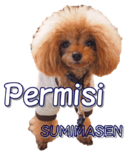 fanchocorin4 sticker #15628714