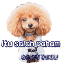 fanchocorin4 sticker #15628720