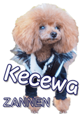 fanchocorin4 sticker #15628723