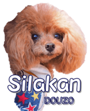 fanchocorin4 sticker #15628724