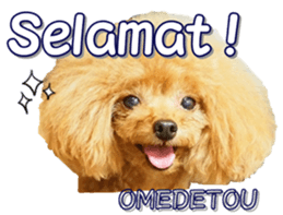 fanchocorin4 sticker #15628726