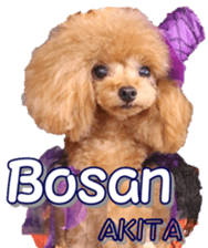 fanchocorin4 sticker #15628727