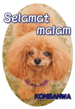 fanchocorin4 sticker #15628728