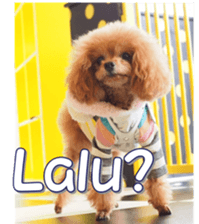 fanchocorin4 sticker #15628729