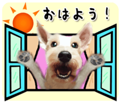 Terrier brothers everyday use sticker sticker #15629482