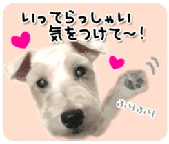 Terrier brothers everyday use sticker sticker #15629483