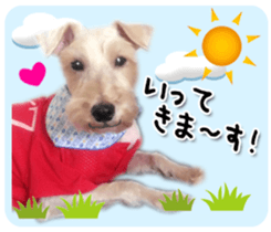 Terrier brothers everyday use sticker sticker #15629484