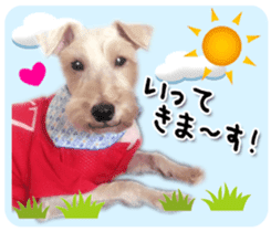 Terrier brothers everyday use sticker sticker #15629484