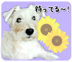 Terrier brothers everyday use sticker sticker #15629486