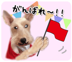 Terrier brothers everyday use sticker sticker #15629488