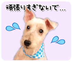 Terrier brothers everyday use sticker sticker #15629489