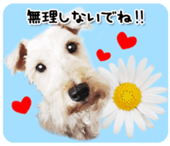 Terrier brothers everyday use sticker sticker #15629490