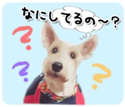 Terrier brothers everyday use sticker sticker #15629491