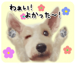 Terrier brothers everyday use sticker sticker #15629492