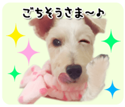 Terrier brothers everyday use sticker sticker #15629495