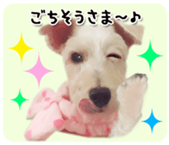 Terrier brothers everyday use sticker sticker #15629495