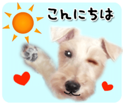 Terrier brothers everyday use sticker sticker #15629496