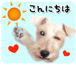 Terrier brothers everyday use sticker sticker #15629496