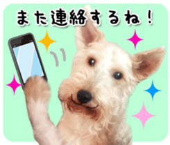 Terrier brothers everyday use sticker sticker #15629498