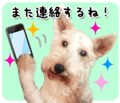 Terrier brothers everyday use sticker sticker #15629498