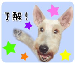 Terrier brothers everyday use sticker sticker #15629499