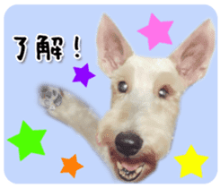 Terrier brothers everyday use sticker sticker #15629499