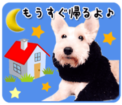 Terrier brothers everyday use sticker sticker #15629500