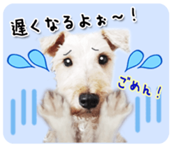 Terrier brothers everyday use sticker sticker #15629501