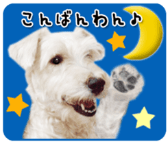 Terrier brothers everyday use sticker sticker #15629503